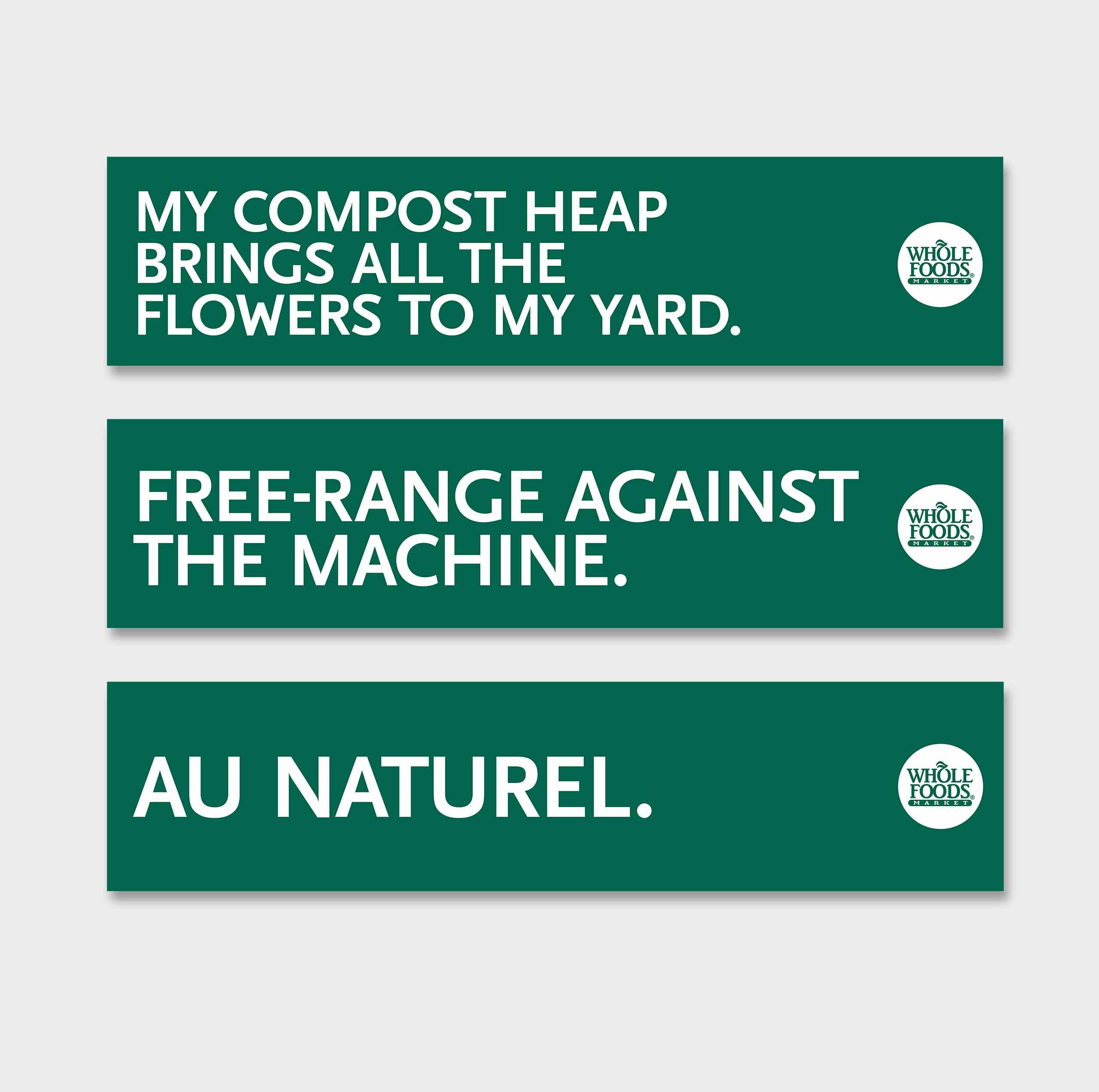 Graphic Bumper Sticker Design