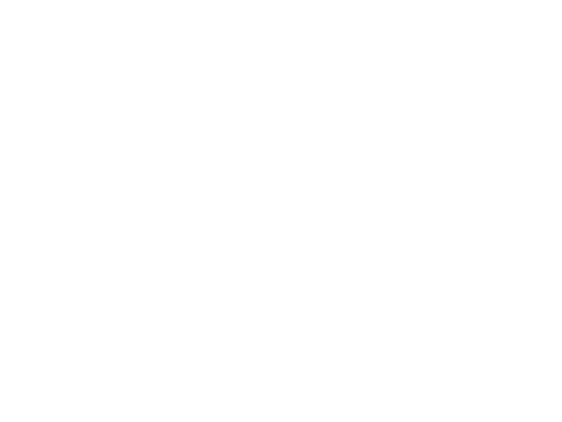 Identity Design for Ballet Austin